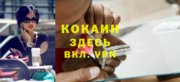 мет Дмитров