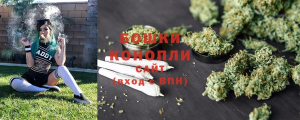 мет Дмитров
