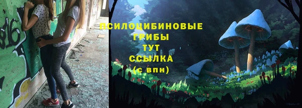 мет Дмитровск