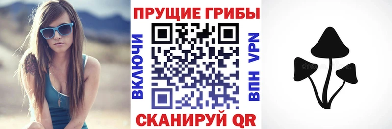 ссылка на мегу ССЫЛКА  Волхов  Псилоцибиновые грибы мицелий 