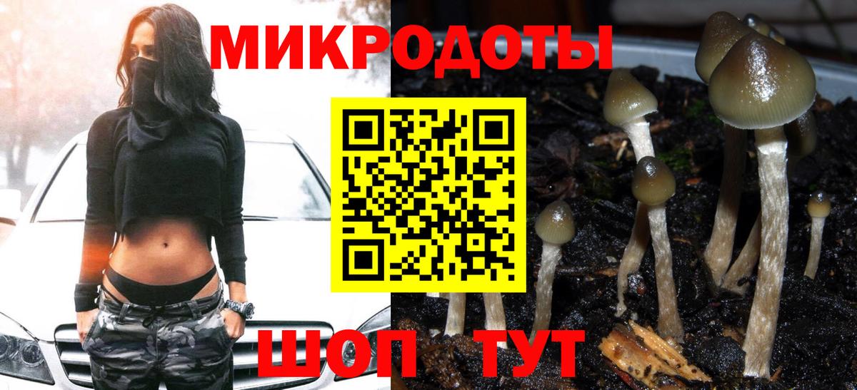 Галлюциногенные грибы мухоморы  где купить наркотик  Волхов  Вход с VPN 