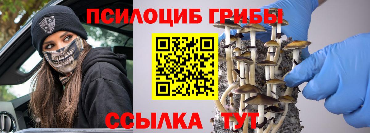 Псилоцибиновые грибы Magic Shrooms Волхов